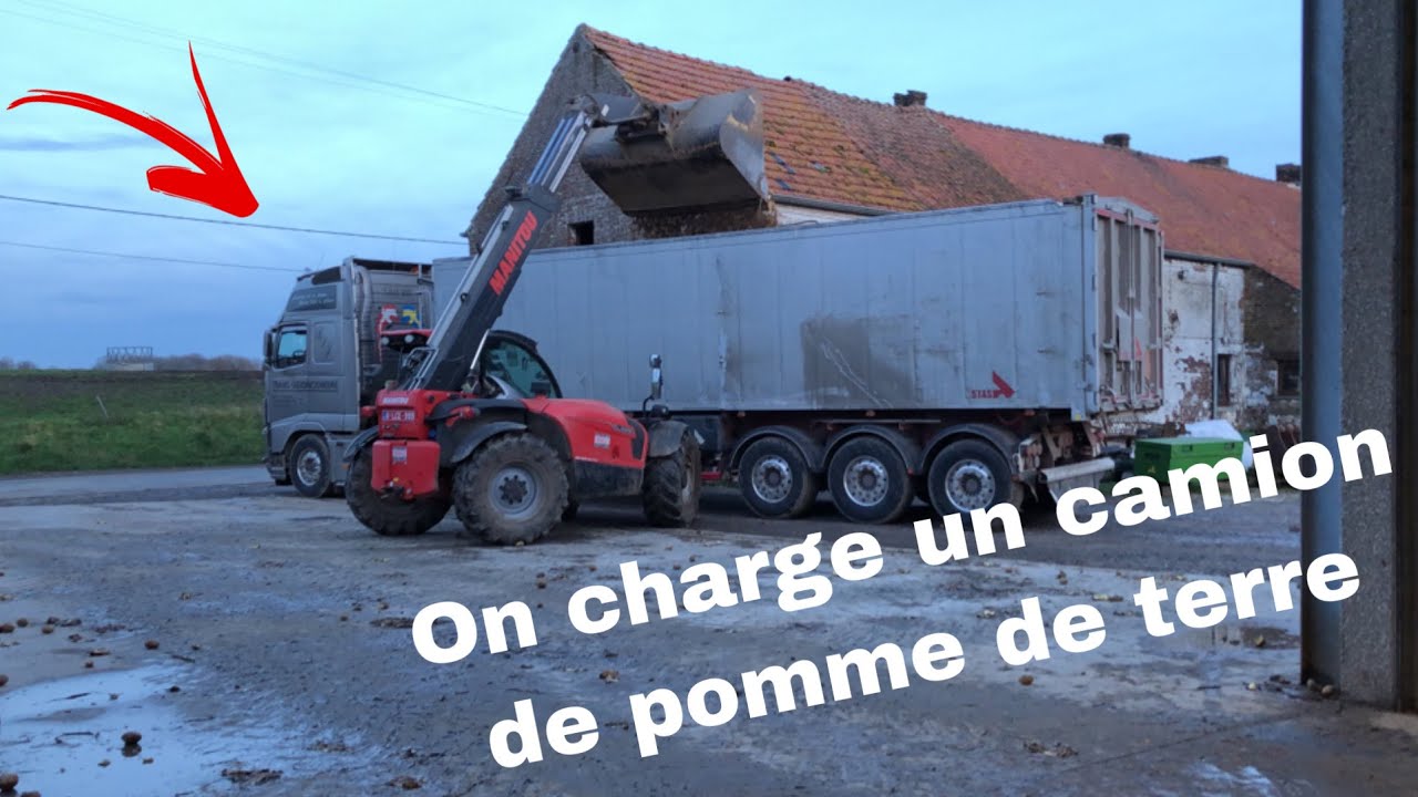 On charge un camion de pommes de terre