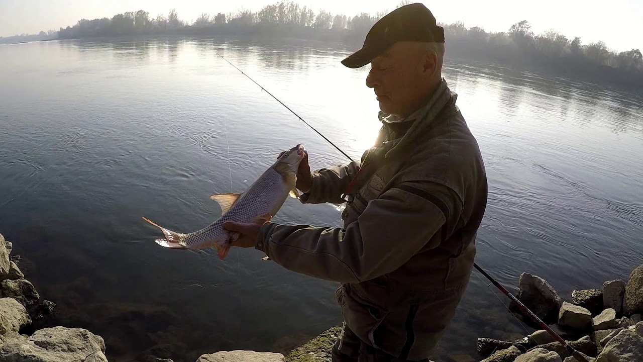 Pesca in Po, barbi e trotella