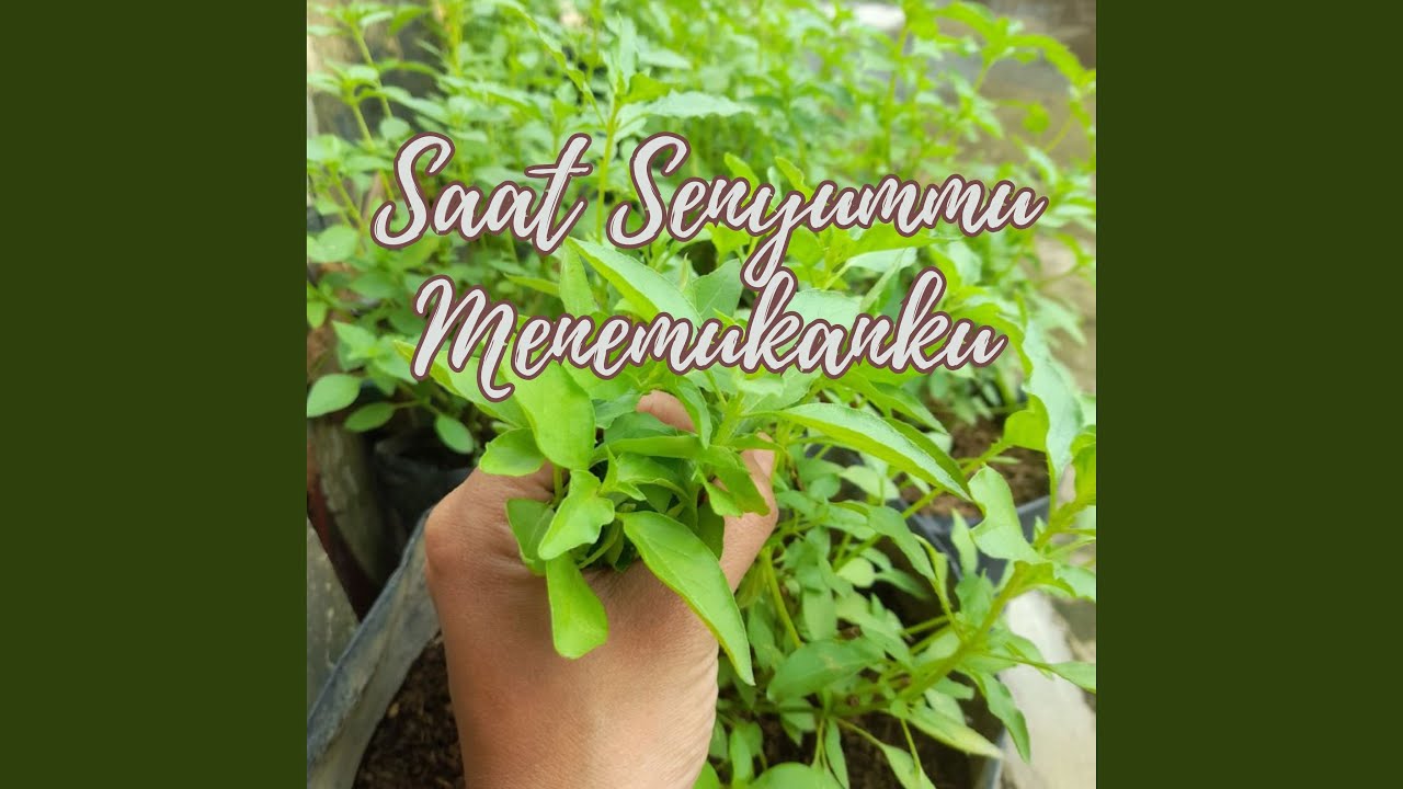 Saat Senyummu Menemukanku