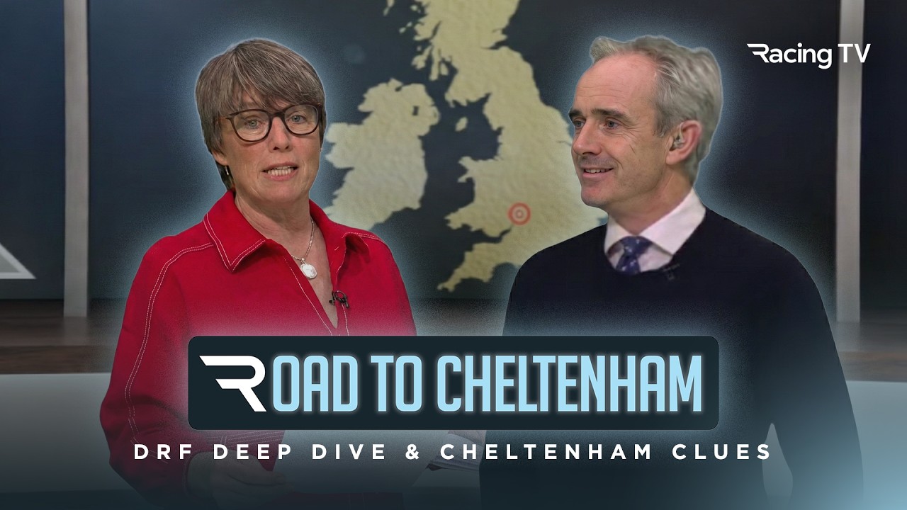 DRF deep-dive and Cheltenham Festival clues: Majborough, Final Demand and more | Road To Cheltenham