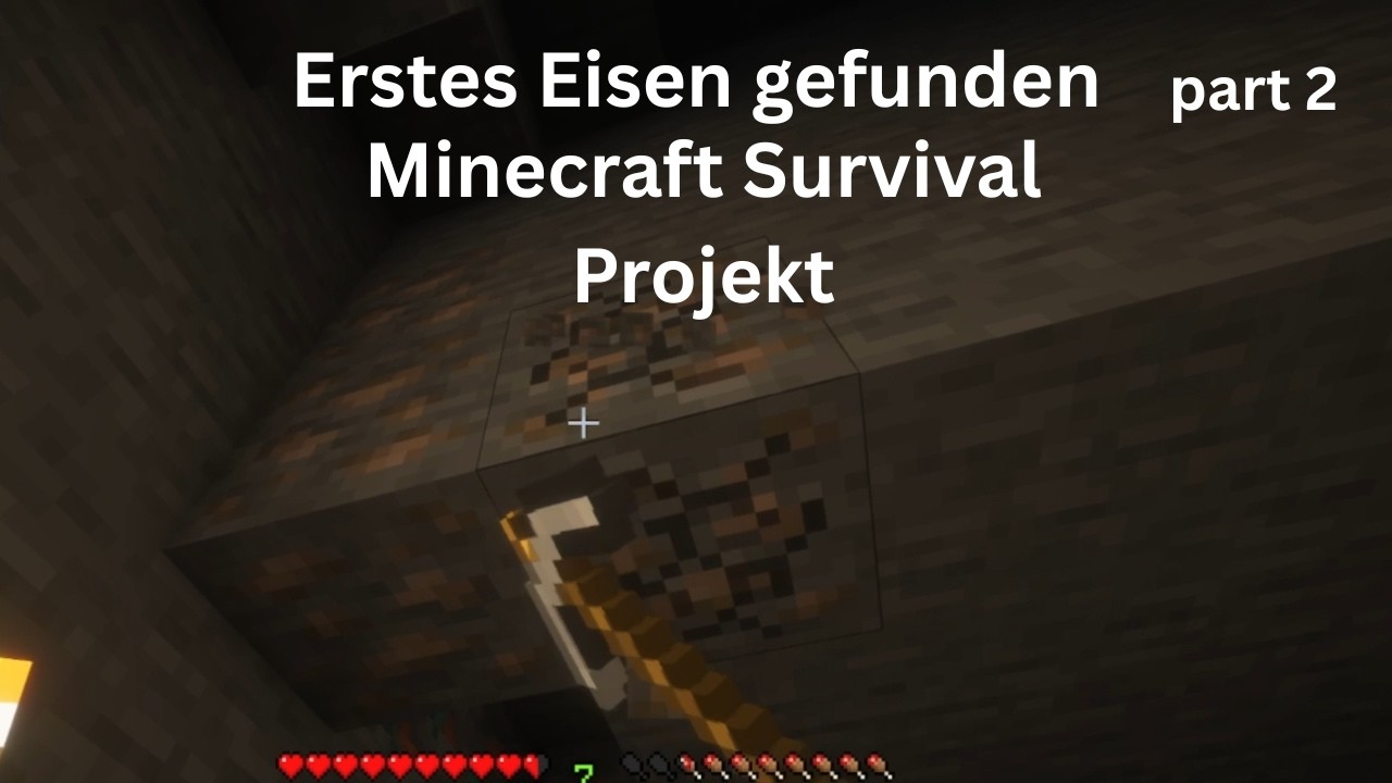 Ein bisschen Eisen Ausrüstung | part 2 |  Minecraft projekt