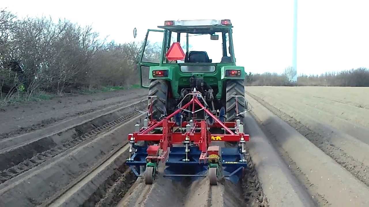 Schorseneren zaaien op ruggen