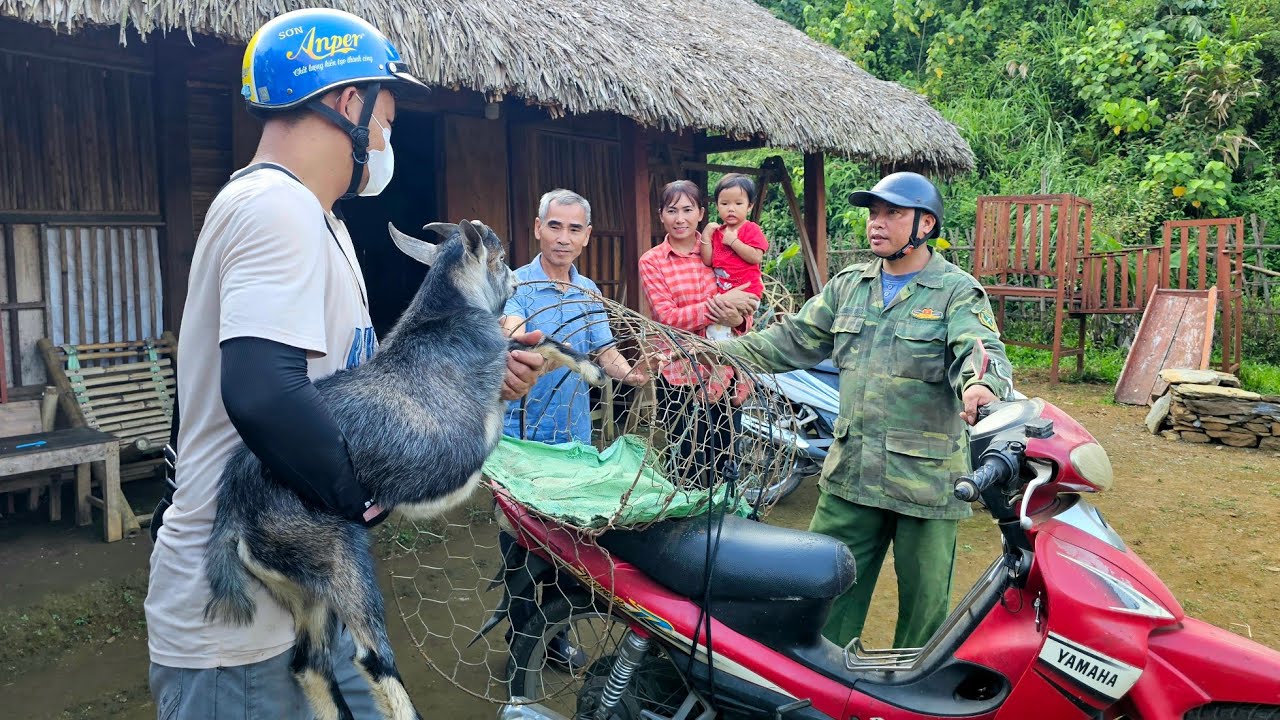 Chance encounter on the road: Selling goat - Improving life - How to make fried spring rolls.