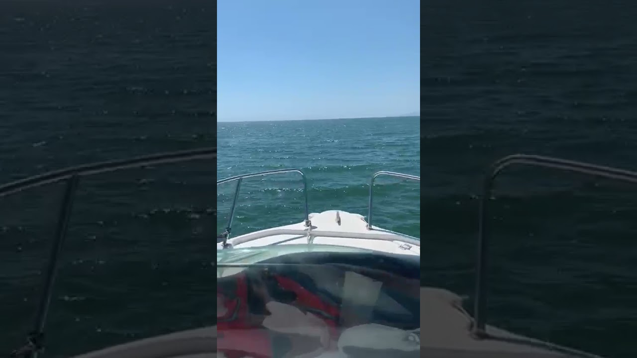 Vollgas mit der Quicksilver 450 🚤🔥 30 PS pure Freiheit!