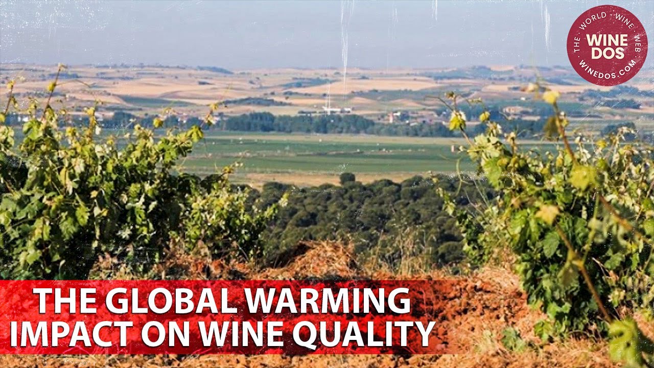 A talk with viticulturists of Arlanza
