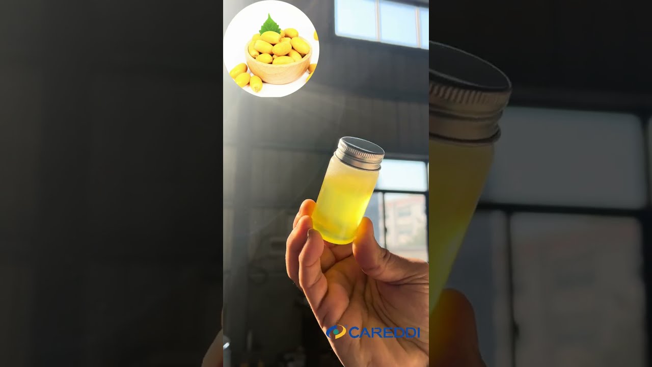 Supercritical CO2 Extraction of high-quality Date Seed Oil - Pure & Efficient Method!
