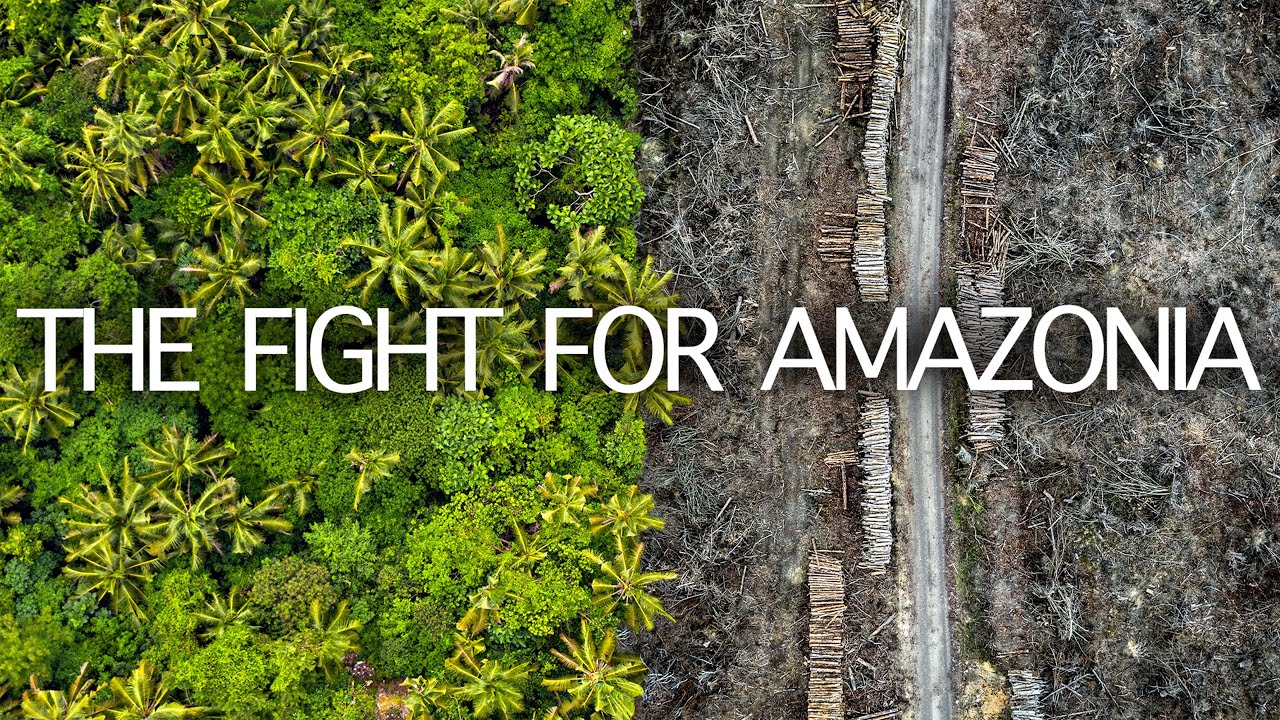 Saving the Rainforest: A Battle Against Human Greed | Seed Documentary