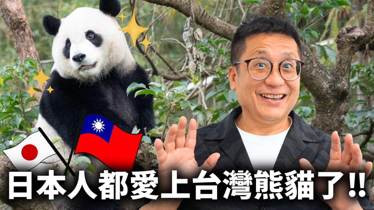 【日本人驚呼】台灣熊貓也太可愛了吧