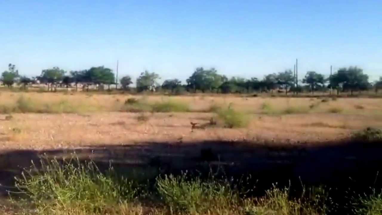 Tira larga de se&ntilde;uelo