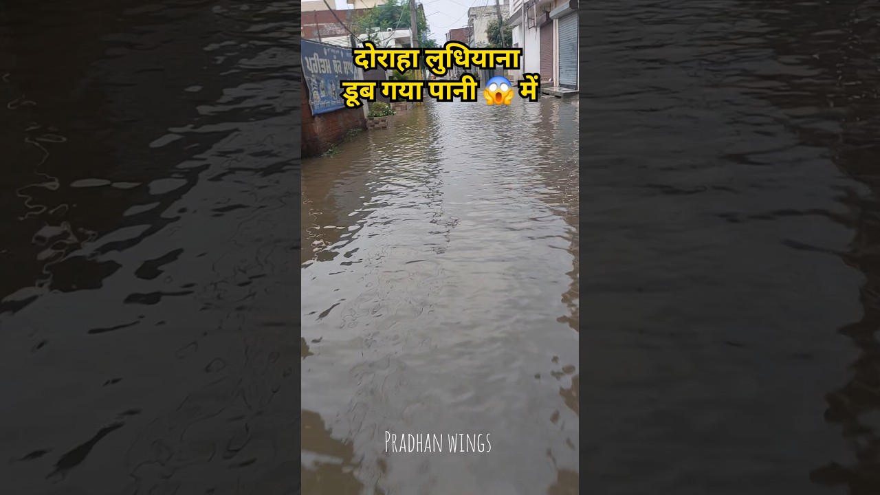😱बाढ़ आ गई दोराहा लुधियाना पंजाब में #doraha #shortsfeed #ludhiana #shortvideo #dorahacup #shorts