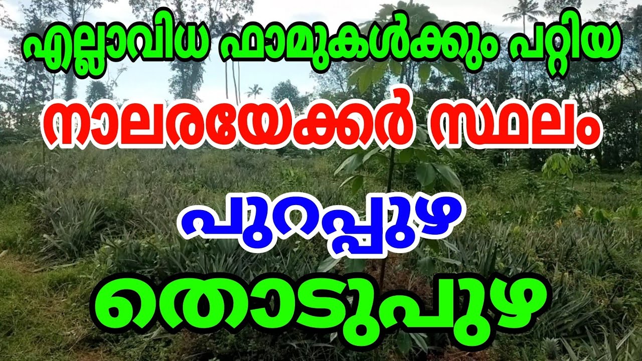 4.5 Acres of land for sale at Purappuzha, Thodupuzha. Suitable for any type of farming.