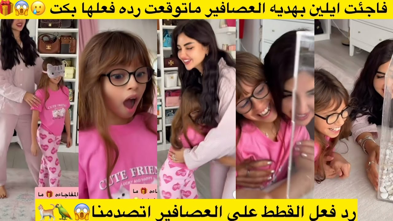  فاجئت ايلين بهديه العصافير ماتوقعت رده فعلها بكت 🥲😱🎁 رد فعل القطط علي العصافير اتصدمنا😱🦜🐈
