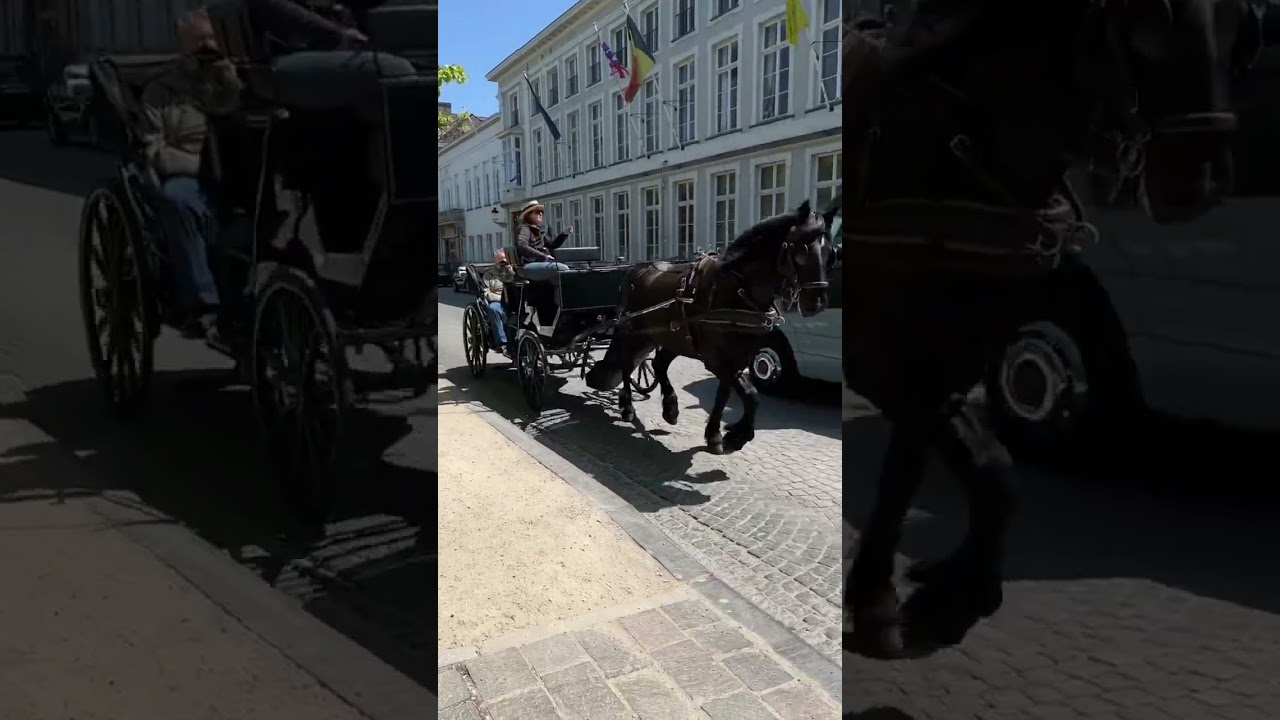 Pferde Kutsche in Br&uuml;gge