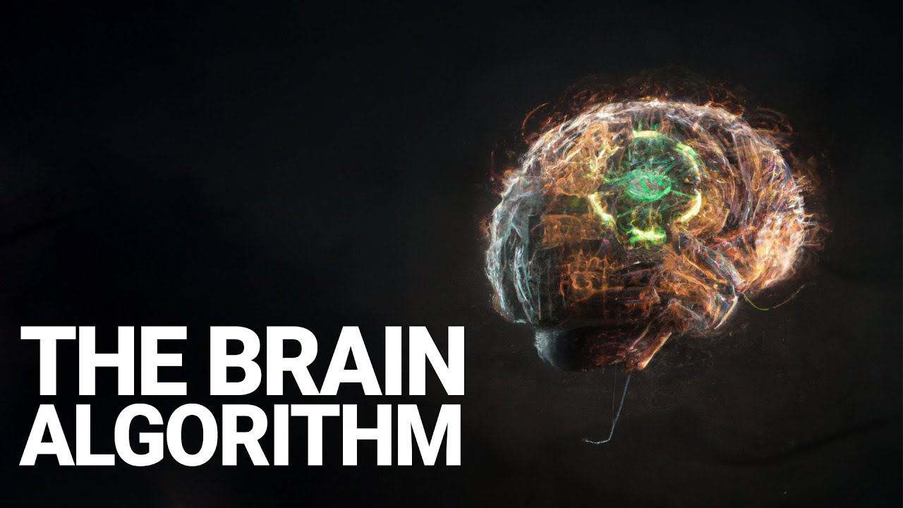 The Algorithm Of Our Brains | How It Affects Our Behavior