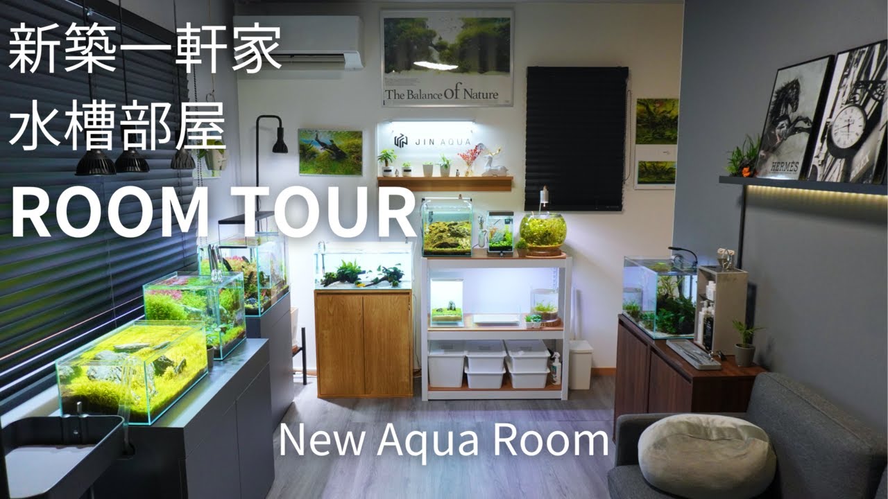 初心者アクアリストが新築一軒家を建てました！間取りから水槽部屋をつくりましたよ。覗いてみませんか？#55