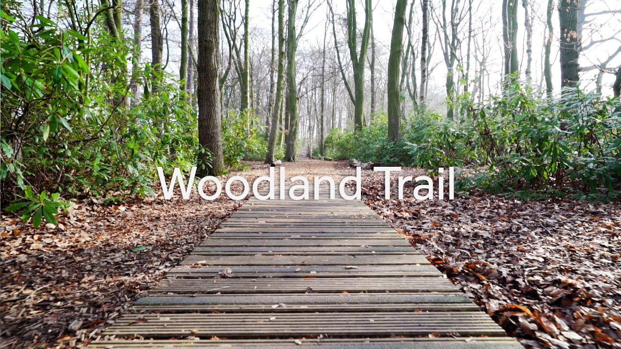 Woodland Walk - Virtual Tour