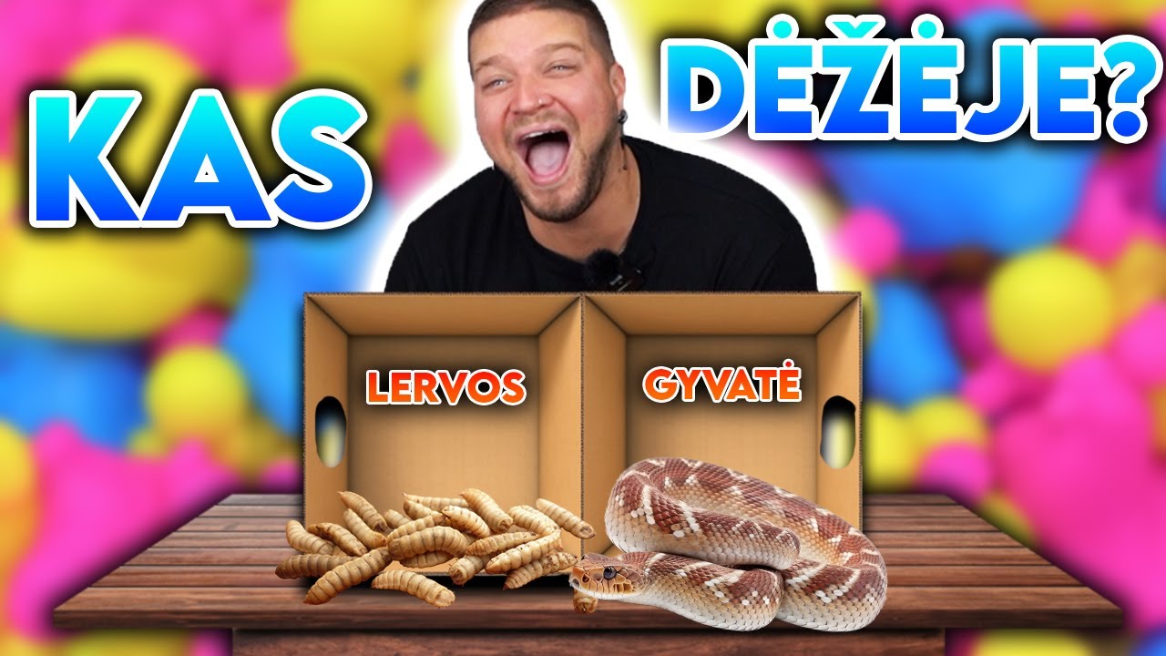 KAS DĖŽĖJE CHALLENGE?