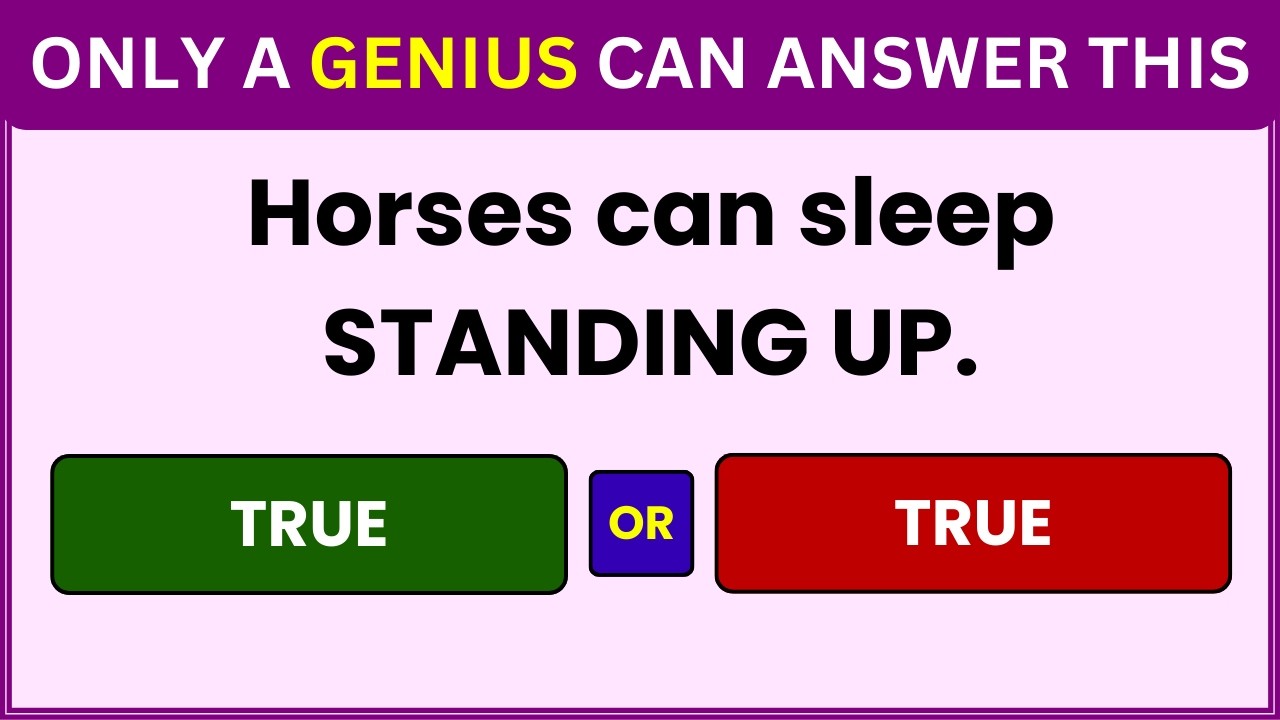 General Knowledge Quiz | Quiz | True or False quiz videoquizhero answer |videoquizhero true or false