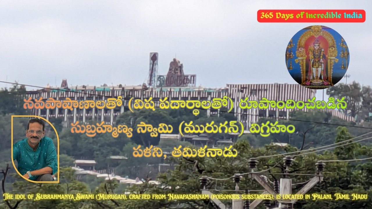 Palani Dhandayuthapani Temple | Powerful Murugan Kshetram | Arupadai Veedu