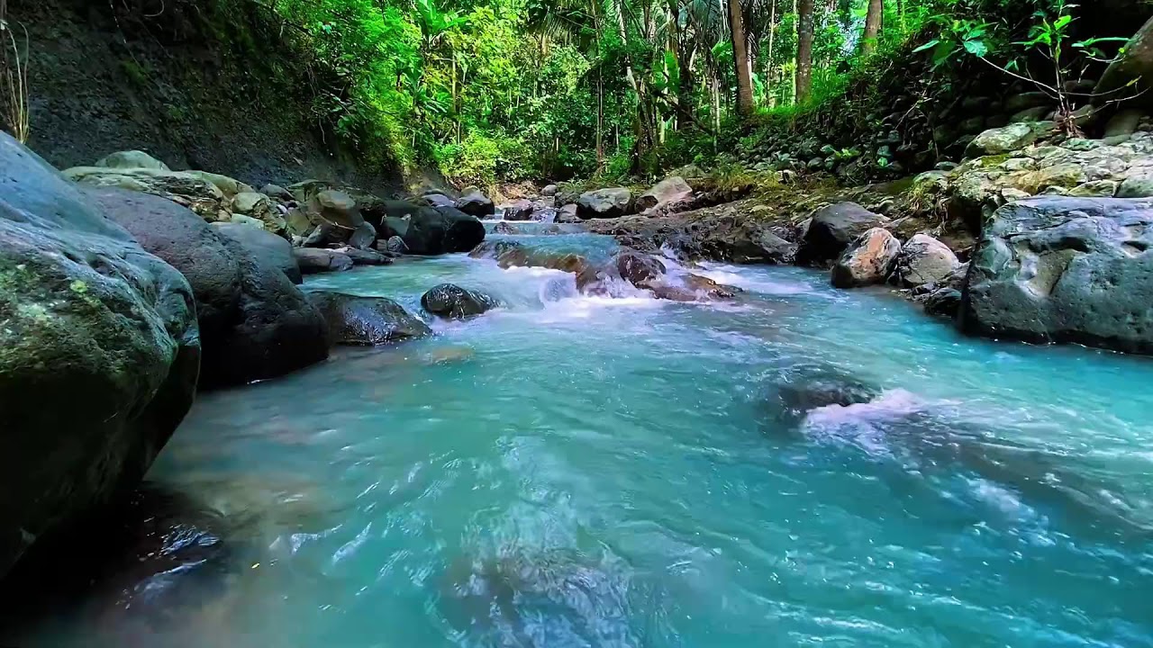 Flowing Mountain Stream Water Audio, Forest River, Sleep