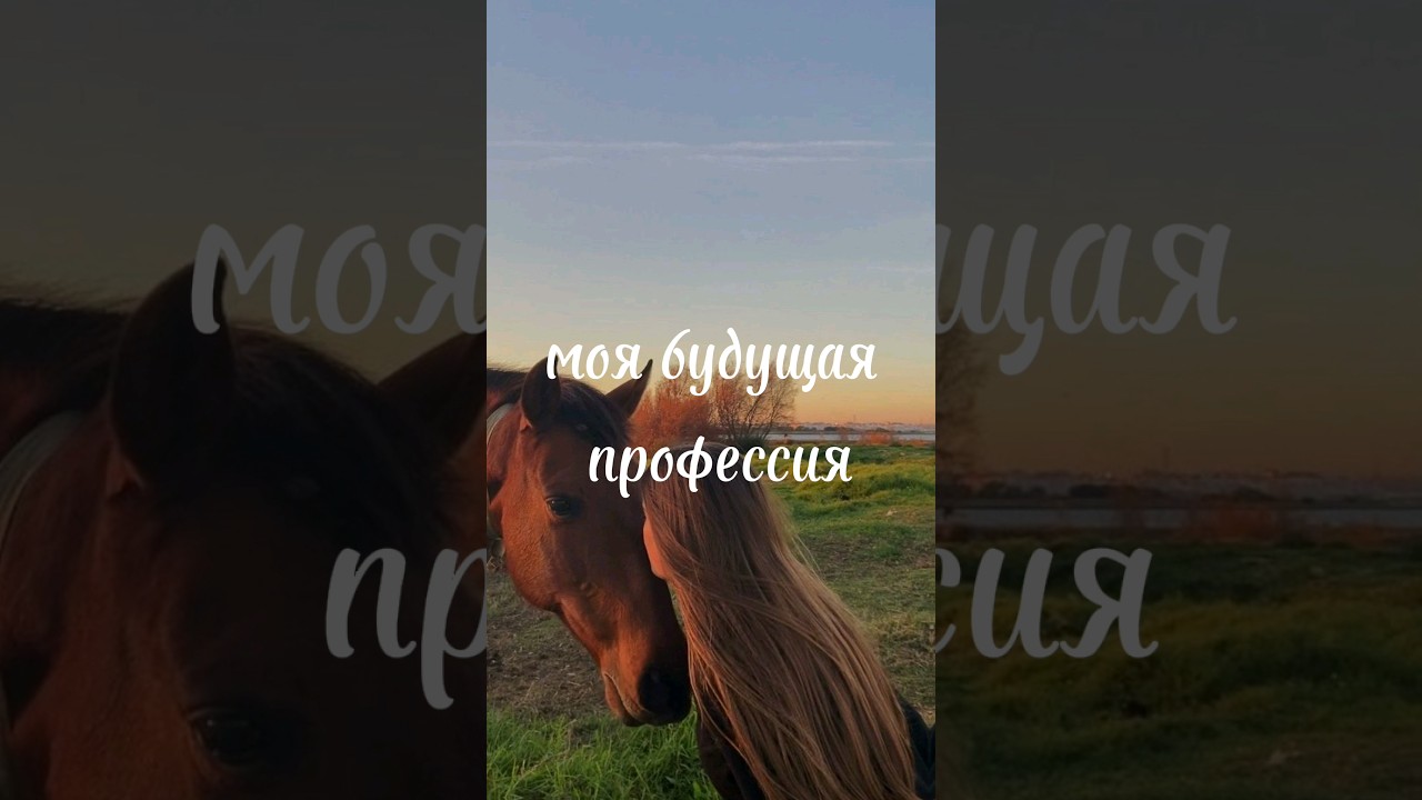 Моя будущая профессия😋 #horse #video #shorts #tiktok #animals #hourse #villa #cupcut  #profession
