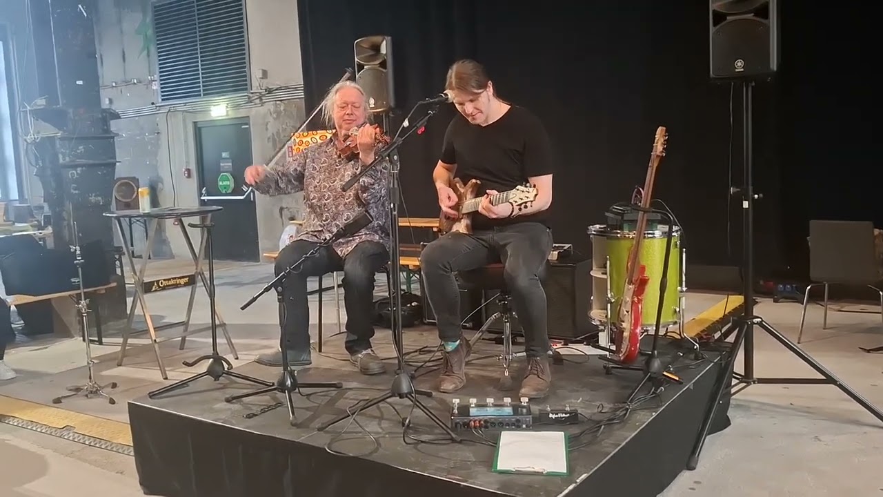 Violin and  Guitar at Vinyl and Music fair Vienna 2026
