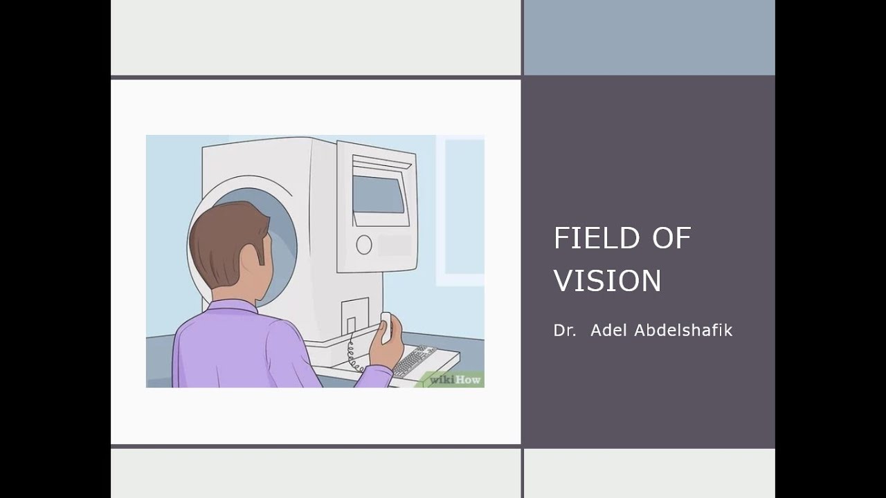 Visual field updated :1/8 patient's personal data
