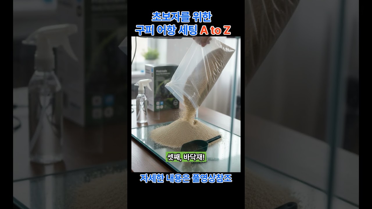 초보자를 위한 구피 어항 세팅 A to Z #구피  #수초어항 #열대어