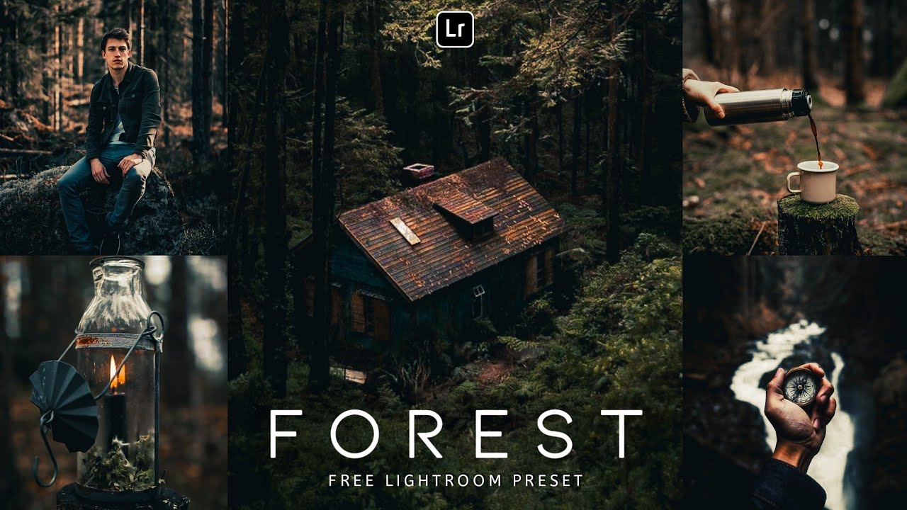 Лес — пресет Lightroom Mobile | Пресеты Moody | Пресет Green | пресеты Lightroom | редактирование...