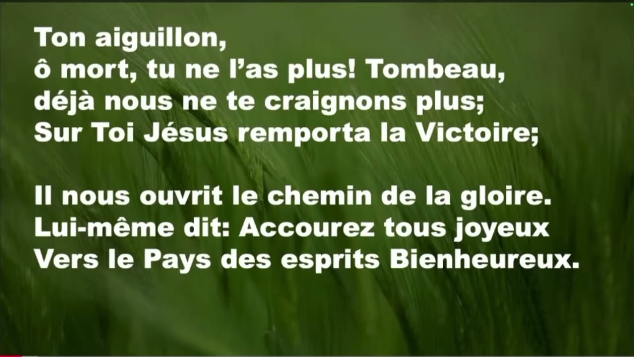AVANCONS-NOUS VERS LE PAYS DES ESPRITS