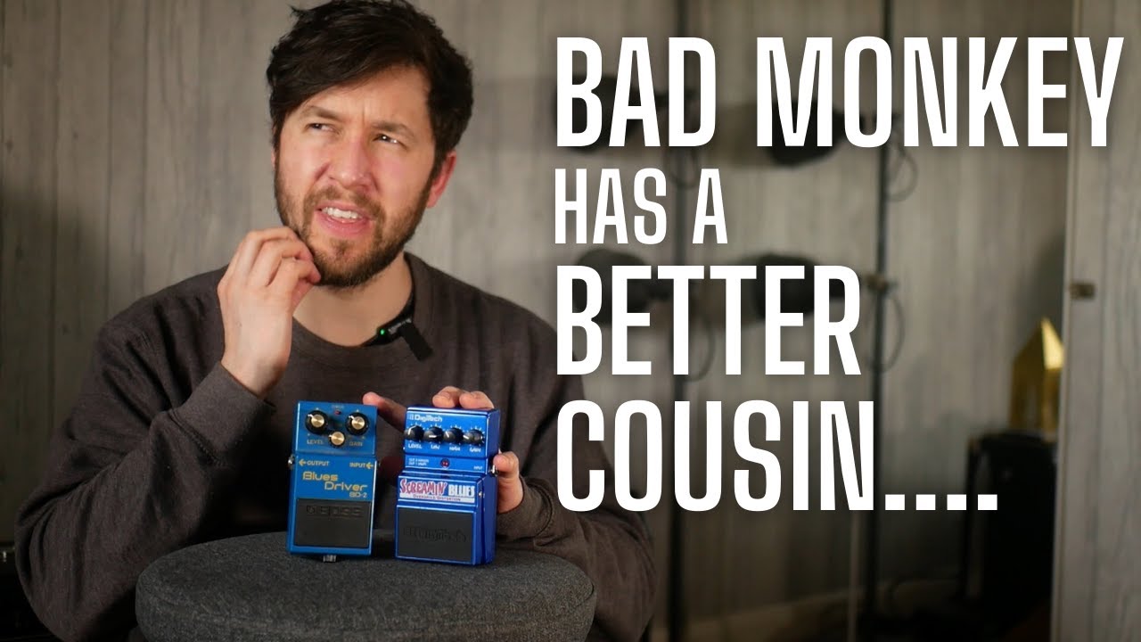 Возможно, лучше, чем Bad Monkey? Попробуйте Digitech Screamin' Blues.