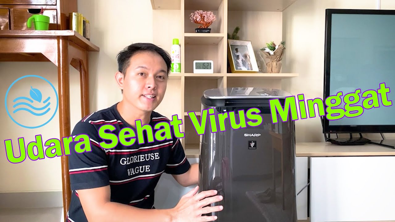 Review air purifier SHARP FP-J80Y-H dan tutorial mengkoneksikan ke WIFI