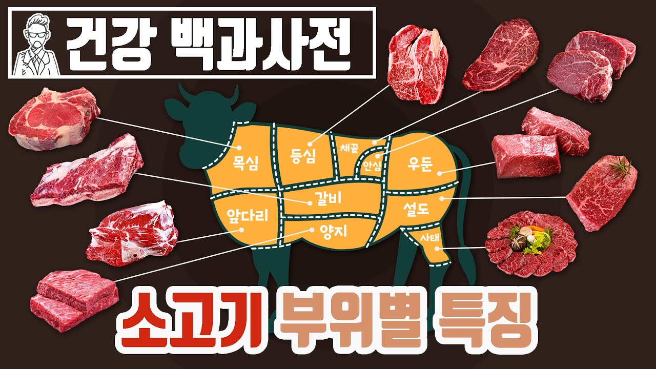소고기 중 최애는 어디? 소고기 부위별 특징에 대해 알아보자 @세모지