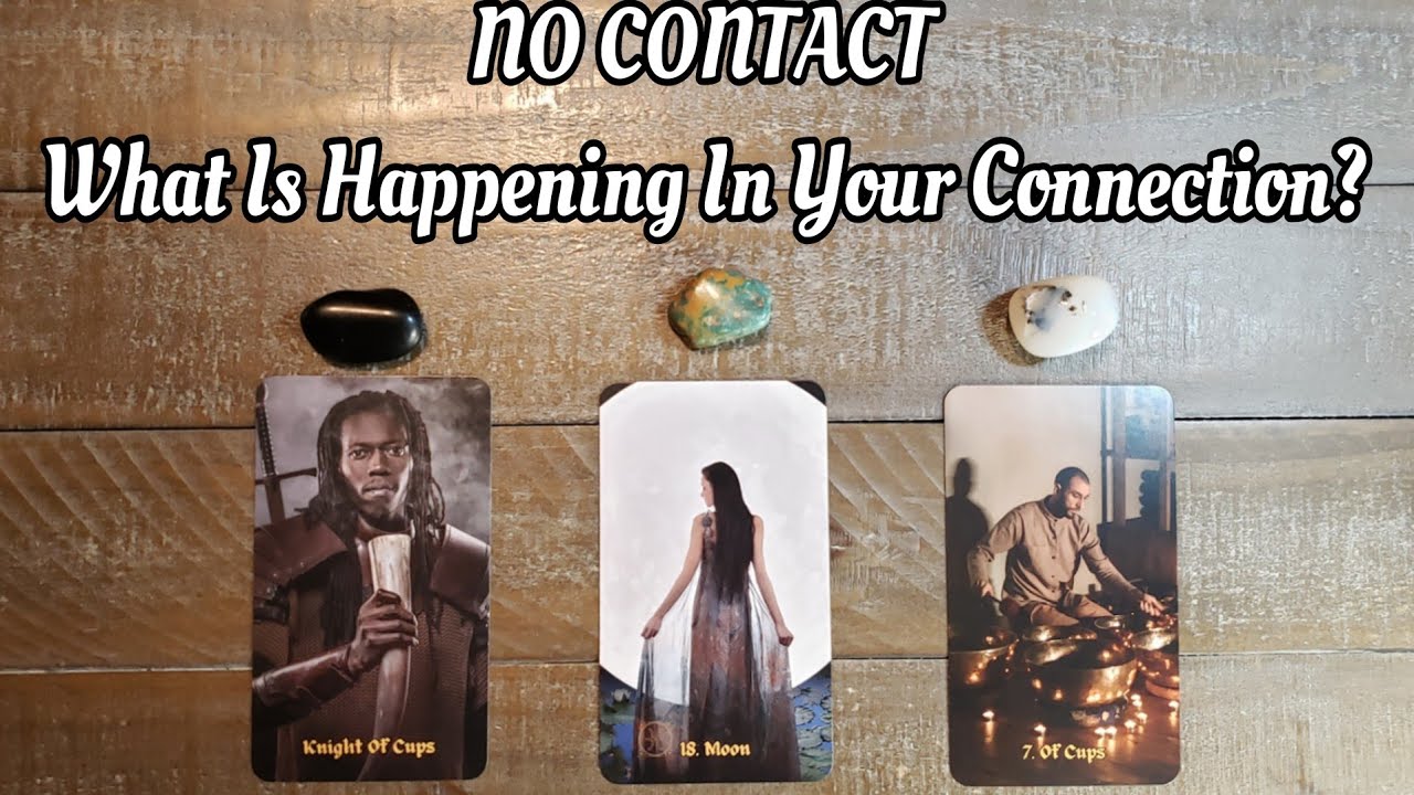 No Contact | What Is Happening In Your Connection? Pick A Card Reading