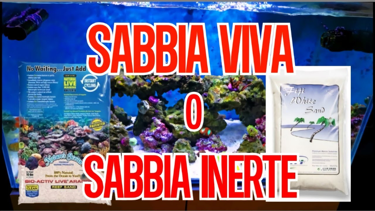 Sabbia viva o sabbia morta? Sabbia Acquario Marino