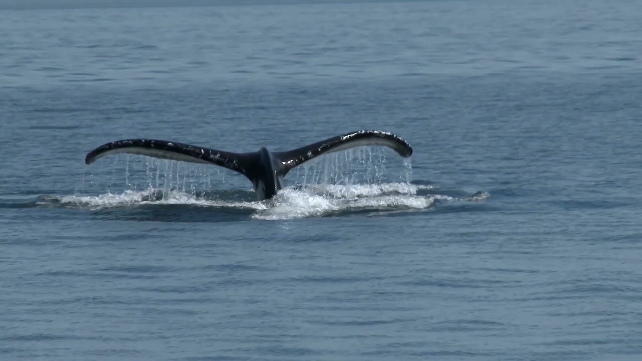 Tasmania: A Nature Lover's Dream | Smarter Travel