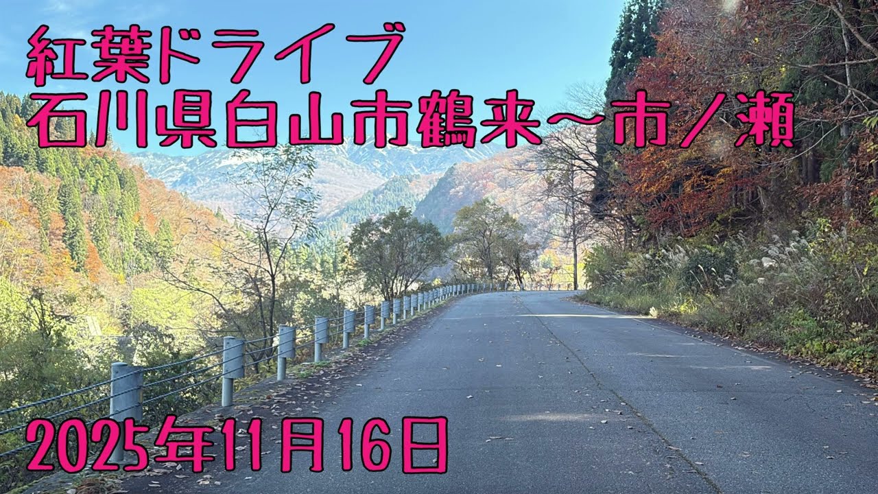 紅葉ドライブ（石川県白山市鶴来～市ノ瀬）の巻