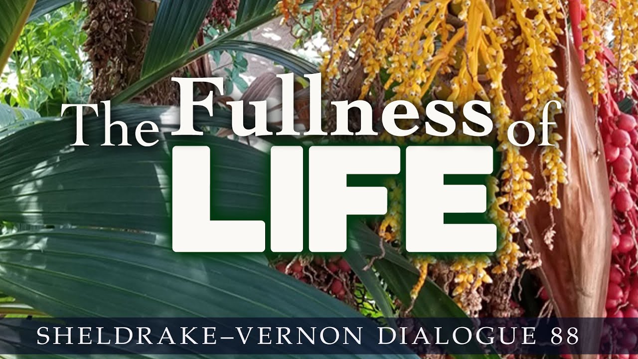 The Fullness of Life: Sheldrake-Vernon Dialogue 88