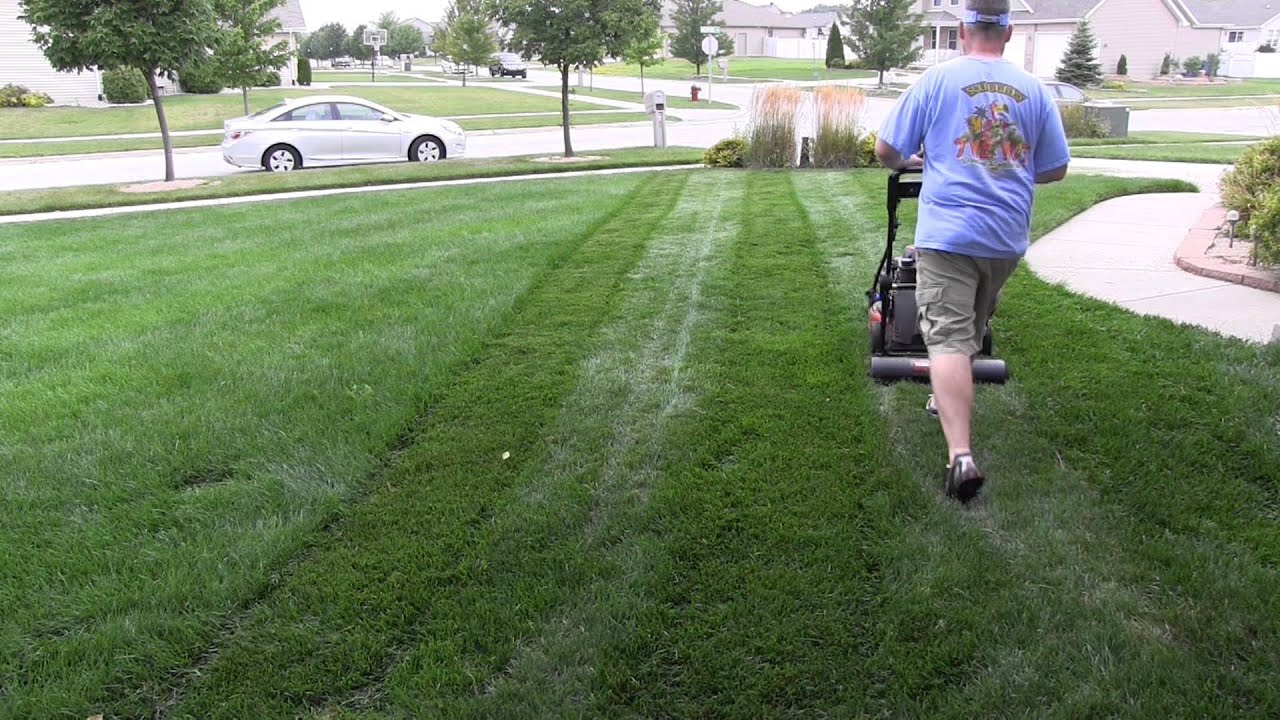 Lawn Mowing Sounds Slow Play Video