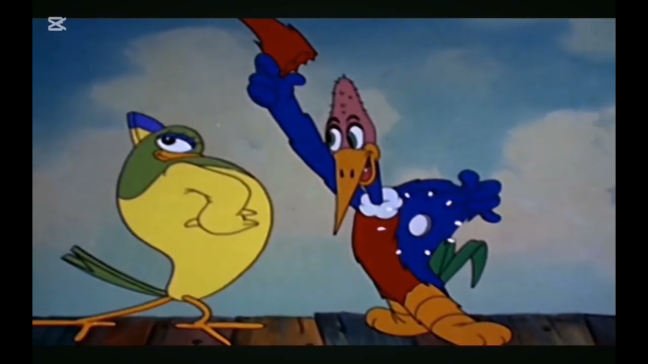  Knock knock woody woodpecker but reversed