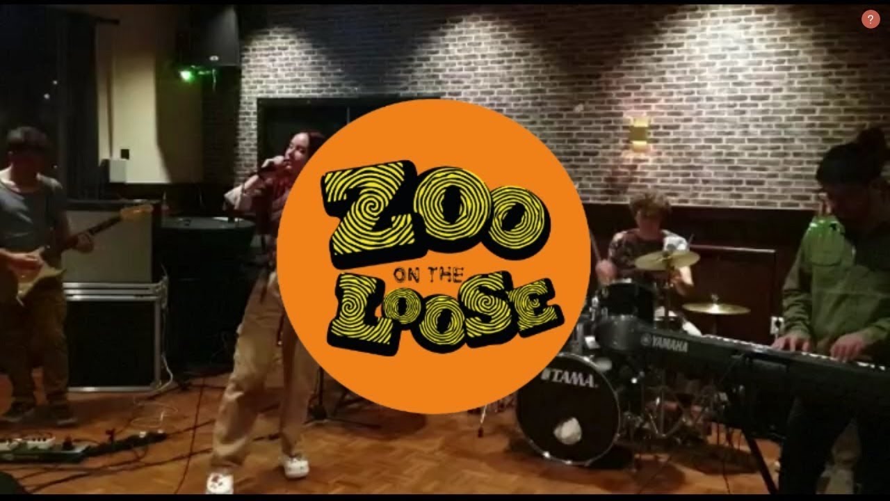 Popband Zoo On The Loose live at Popelucht