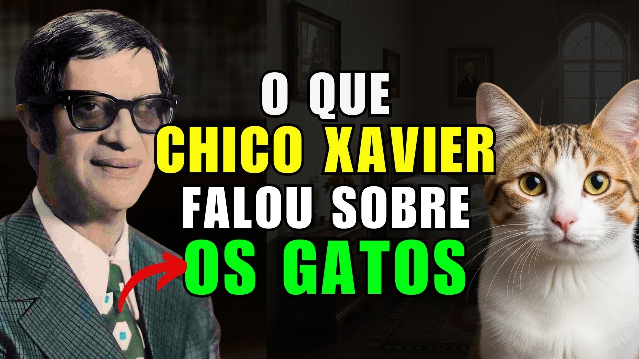 Olha o que Chico Xavier falou sobre os Gatos