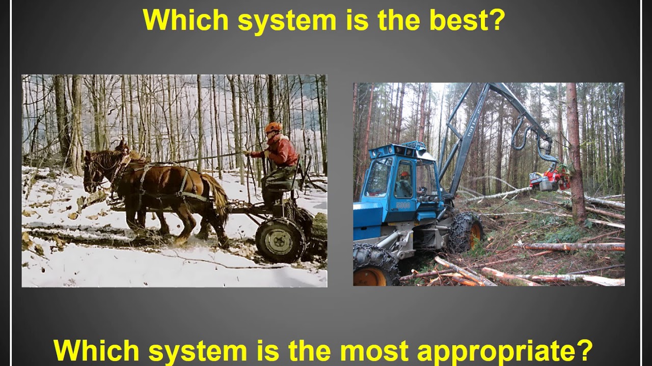 Lecture 12   Timber Harvesting Part 1 Video