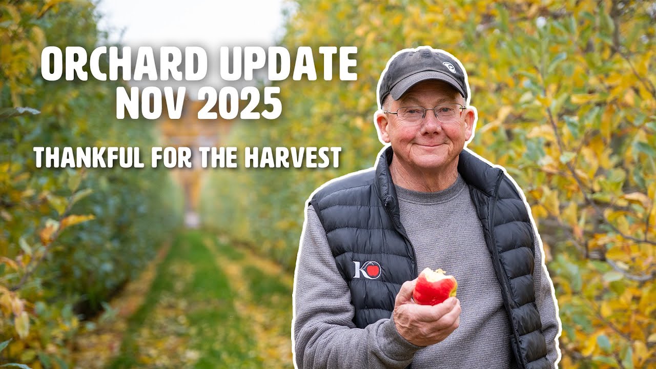 Orchard Update NOV: Thankful for the harvest