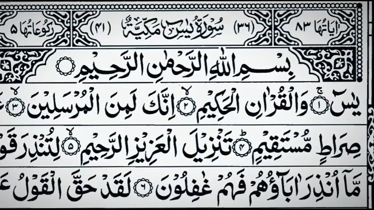 Surah Yaseen, Waqiah, Sajdah & Mulk | Arabic Text  | Everydaylistenquran
