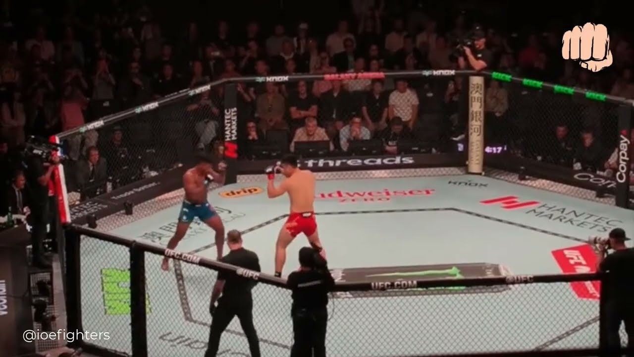 Алонзо Менифилд против Минъяна Чжана: полный бой, технический нокаут | UFC Макао