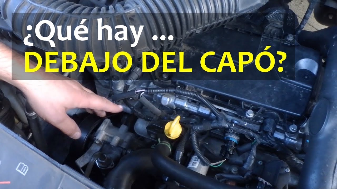 PARTES DEL COCHE 🚗 BAJO EL CAPÓ