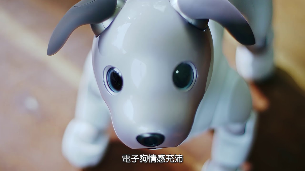 aibo (DFA Design for Asia Awards 2018 &ndash; Grand Award)