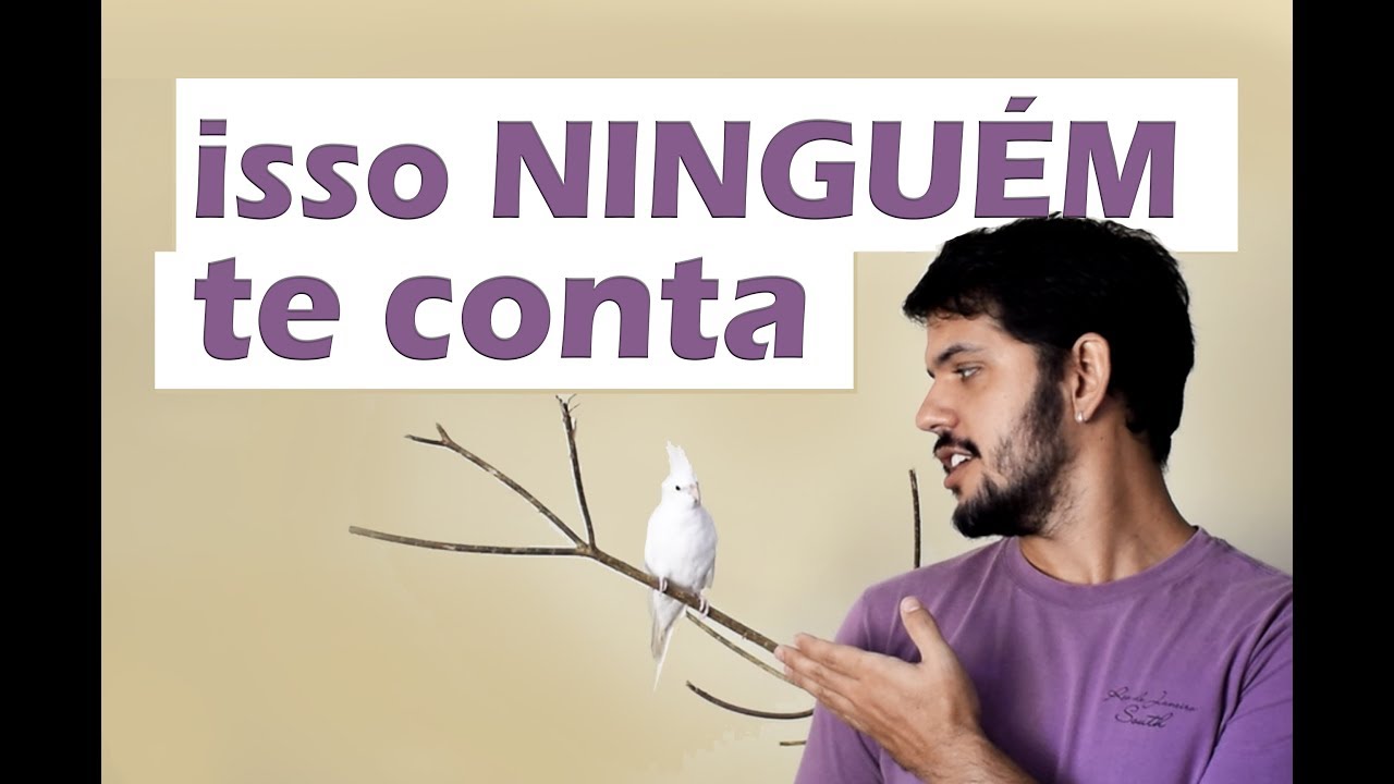 Coisas que você precisa saber antes de ter uma calopsita
