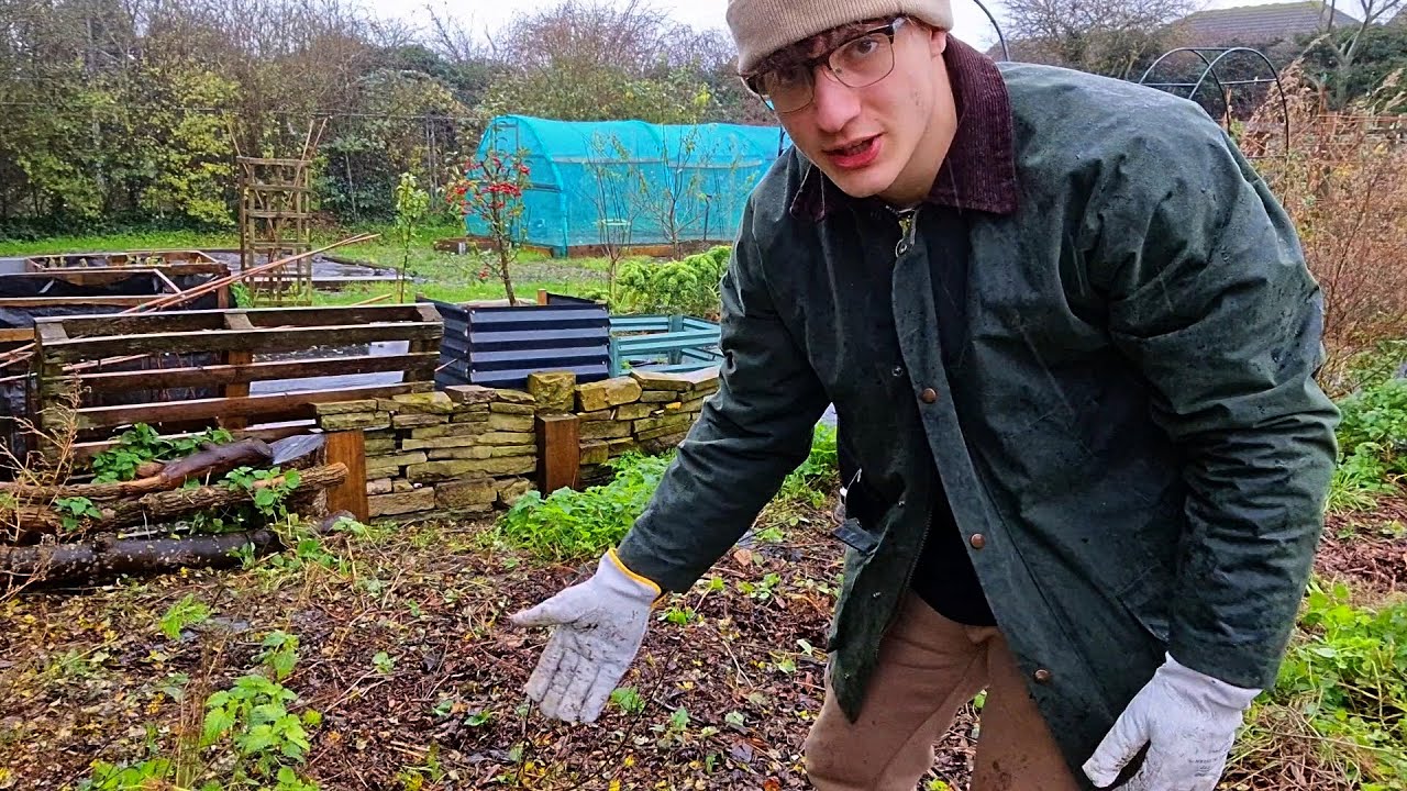 Clearing the Allotment! - Alfie's Agriculture